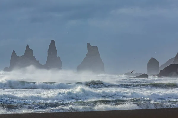 Les Mouettes Réjouissent Tempête Sur Mer Basalte Stacks Reynisdrangar Près — Photo