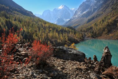 Shavlo Gölü, Altai Dağları, Sibirya, Rusya
