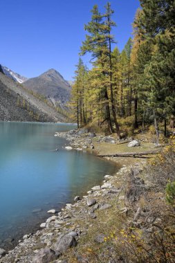 Shavlo Gölü, Altai Dağları, Sibirya, Rusya