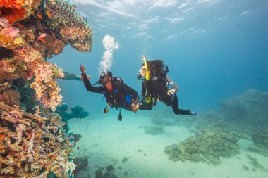 Suyun altındaki kaşifler. İki yetişkin insan tropikal resife ilk kez dalıyor mavi arka planlı, güzel mercan ve küçük balıklı. Erkek üstte ve kadının elini tutuyor..