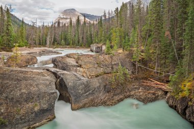 Yoho Ulusal Parkı 'ndaki Doğal Köprü, Kanada. Kicking Horse Nehri tarafından oyulmuş, gür orman ve görkemli dağlarla çevrili çarpıcı bir kaya oluşumu. Nefes kesici bir doğa harikası.