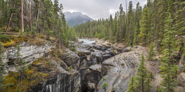 Kanada Banff Ulusal Parkı 'ndaki Mistaya Kanyonu. Yoğun yeşil orman ve dağlarla çevrili pürüzsüz kaya oluşumlarıyla çarpıcı bir nehir vadisi. Yürüyüş ve doğa fotoğrafçılığı için popüler bir yer..