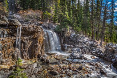 Bereketli çam ağaçları ve hafif karla çevrili Kanada 'da engebeli kayaların üzerinden çarpıcı bir şelale akar. Kristal berraklığında su, parlak mavi bir gökyüzünün altındaki kayalık bir dereye dökülür..
