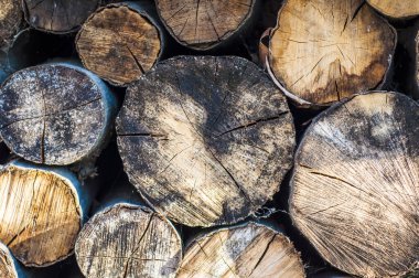 kıyılmış yangın ahşap doku arka plan yığını