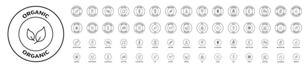 Büyük bir dizi doğal ürün ikonu. Organik. Eko-ürünler. GDO 'lar, alerjenler ve diğer katkı maddeleri olmadan. Vektör