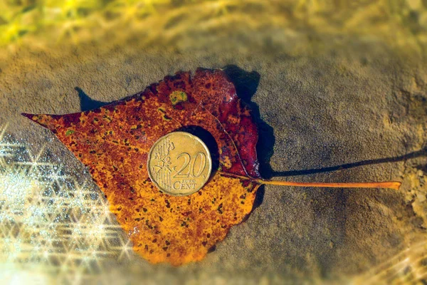 Parlayan suyla çevrili bir taşın üzerine düşen yaprağın üzerine 20 euro sent.