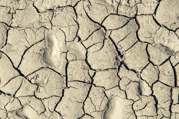 Stock image dry muddy surface on the riverbank,view directly above,full frame texture background