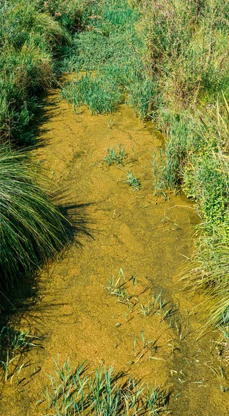 stock image wide shot of muddy water surface of the lake Posta Fibreno nature reserve in the middle of the summer in the Italian Lazio region