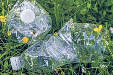 iki plastik şişe ekilmemiş bahar tarlasında, kirlilik konsepti