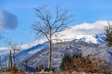 Lazio bölgesindeki İtalyan Apennine Dağları 'nda kışa karşı çıplak ağaç