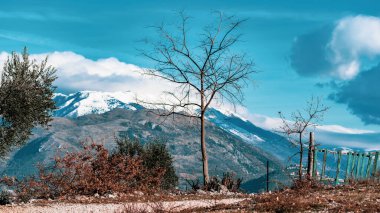 Güneydoğu Lazio bölgesindeki İtalyan Apeninlerine karşı çıplak ağaçlar.
