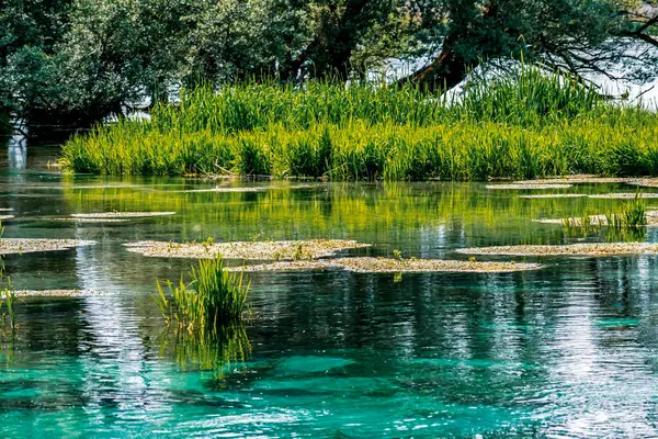 stock image bright and lively lake scenery in Posta Fibreno nature reserve,amid the Italian Apennine mountains of the south-east Lazio region