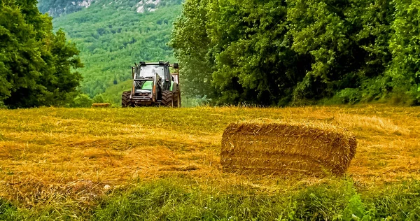 Balle Foin Premier Plan Tracteur Arrière Plan Dans Environnement Rural — Photo