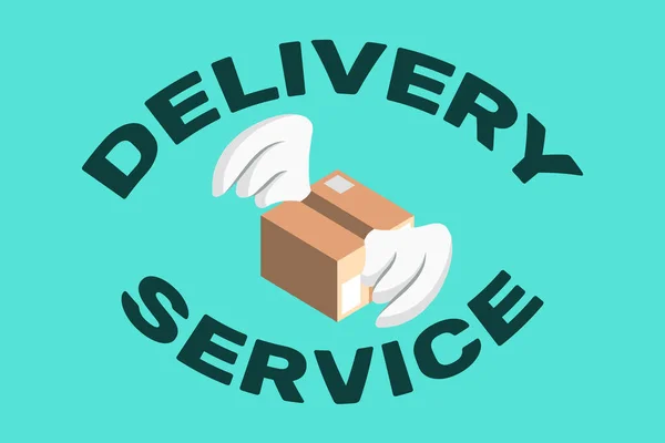 Delivery Service Text Package Wings Light Blue Background Vector Illustration — Vector de stock