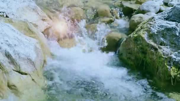 Frisches Klares Und Transparentes Fließwasser Des Flusses Mollarino Nebenfluss Des — Stockvideo