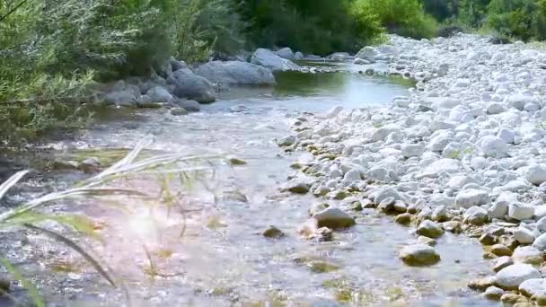 Summer Landscape Mollarino Stream Tributary Melfa River Picinisco Italian Apennine — Stock Video