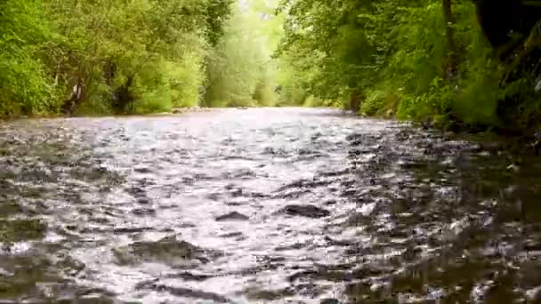 Flowing Waters Melfa River Atina Comino Valley Frosinone September Day — Stock Video