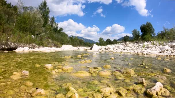 Τοπίο Του Ρεύματος Mollarino Παραπόταμος Του Ποταμού Melfa Στη Villa — Αρχείο Βίντεο