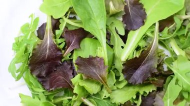 İtalyan salatası, marul, kırmızı marul, romaine marul, bebek ıspanağı. Yakın çekim, dönen video..