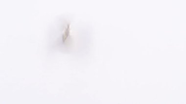 Beyaz arkaplan ve makro yakın plan üzerinde iki avroluk para çevrimi.