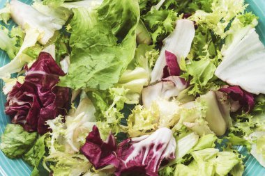Karışık salata, kıvırcık hindiba, kırmızı turp, salata ve salata, mavi tabakta, yakın plan..