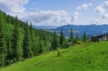 Güzel doğa. dağ yaz manzarası