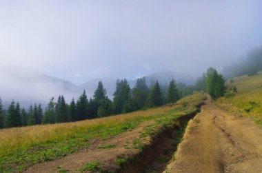 Dağlarda sabah sisi Ormanın arka planında dağlar