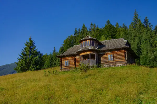 Tepedeki eski terk edilmiş ahşap ev ve orman arka planı.