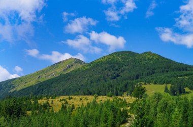 Güzel dağ manzarası. Dağ manzarası. Karpatlar, Ukrayna