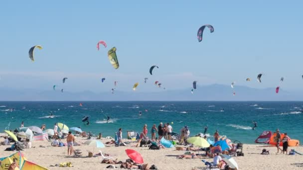 スペインのバルデバケロス 2022年9月4日 青い空 大西洋 北アフリカの海岸線を背景に スペインのValdevaquerosビーチでカイトサーファーとサンバス — ストック動画