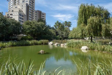 Gibraltar. 5th September 2022. View of the beautifully landscaped Commonwealth Park at Gibraltar. Located within the old city walls, it provides a peaceful green recreational area for all to enjoy.