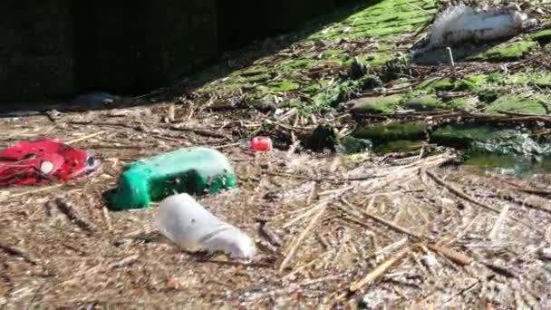 Vyhozené Odpadky Domácností Další Odpadky Které Byly Vyplaveny Březích Řeky — Stock video