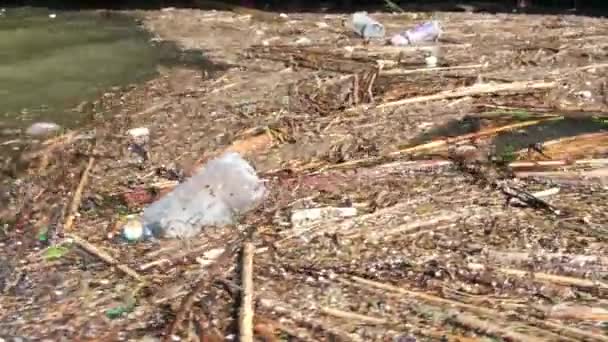 Thames Nehrinin Kıyısında Woolwich Londra Kıyıya Vurulan Çöpleri Diğer Döküntüler — Stok video