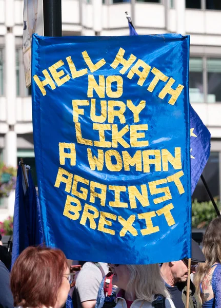2023年9月23日在伦敦举行的3月反英国退欧全国大会上 亲欧盟运动的抗议标语呼吁英国重新加入欧盟 — 图库照片