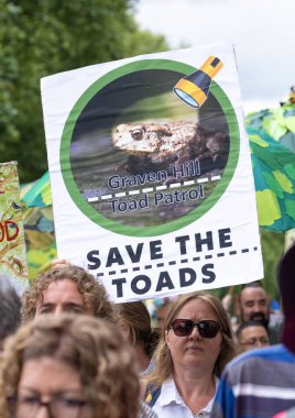 Londra, İngiltere. 22 Haziran 2024. Çevre protestocusu, Londra 'da düzenlenen protesto gösterisinde, doğa ve iklim acil durumları hakkında acil siyasi eylem çağrısında bulundu..