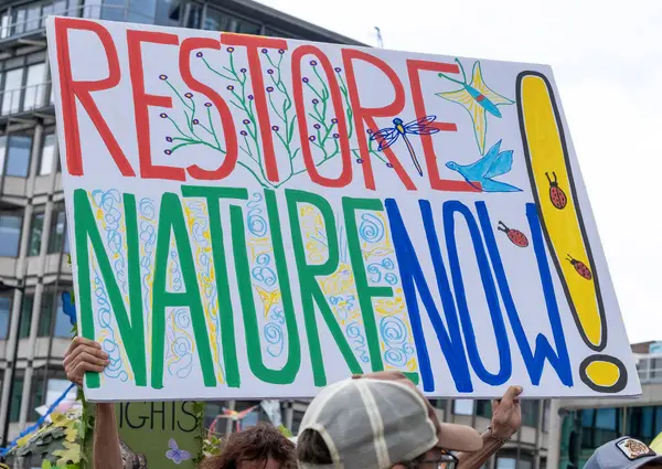 stock image London, UK. 22nd June 2024. Protest signs and placards at the Restore Nature Now protest demonstration in London, calling for urgent political action on the nature and climate emergencies.