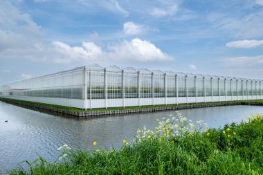Hollanda, Westland 'da modern endüstriyel seraya bakış açısı. Westland Hollanda 'nın bir bölgesidir..