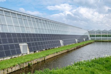 Hollanda, Westland 'da güneş panelleri olan modern endüstriyel seraya bakış açısı. Westland Hollanda 'da bir bölgedir..
