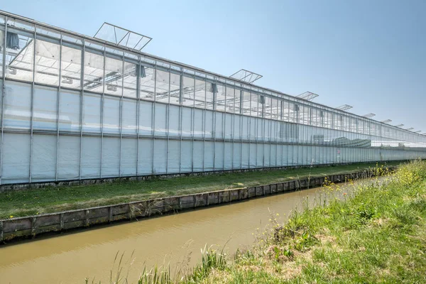 Perspective View Modern Industrial Greenhouse Westland Netherlands Westland Region Netherlands — Stock Photo, Image