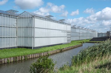 Hollanda, Westland 'da yağmur suyu hasat sistemi olan modern endüstriyel seraya bakış açısı. Westland Hollanda 'da bir bölgedir..