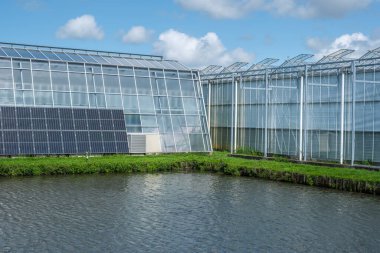 Hollanda, Westland 'da güneş panelleri olan modern endüstriyel seraya bakış açısı. Westland Hollanda 'da bir bölgedir..