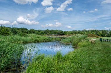 Hollanda 'nın Delft şehrinin sınırında Het Abtwoudse Bos adında güzel bir peyzaj parkı. 40 yıl önce, çok sayıda su akıntısı ve küçük köprüsü olan bir orman inşa edildi.