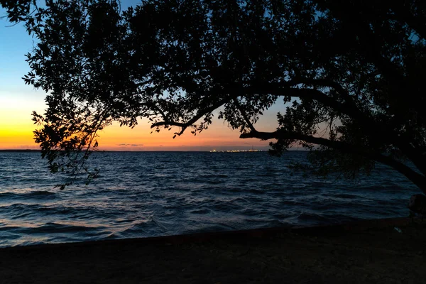 夕阳西下来自蓬塔戈达的树 Cienfuegos — 图库照片