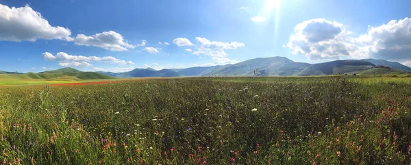 Castelluccio Norcia Panoramic View Spring Time Flowers Marche Region Italy — Stock Photo, Image