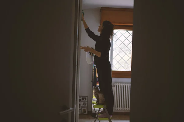 Een Vrouw Die Thuis Schoonmaakt Met Een Kat Lifestyle Gefilterde — Stockfoto