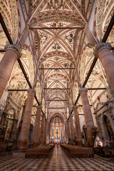 Verona Italië Oktober 2020 Gotisch Interieur Van Sant Anastasia Kerk — Stockfoto