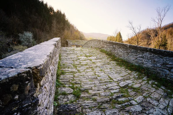 Ancient Arched Genoese Stone Bridge Premilcuore Tuscany Italy — Stock Photo, Image