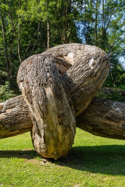 VALSUGANA, TRENTO, İTALYA - 2020 AĞUSTOS: Artesella Müze Parkı 'nın içindeki ahşap heykel.