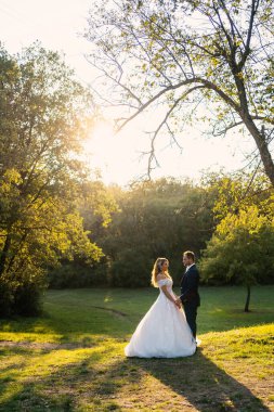 Mutlu romantik çift portresi parkın dışında, güneş gören bir parkta..
