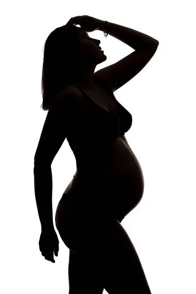 Mujer Embarazada Estudio Retrato Silueta — Foto de Stock